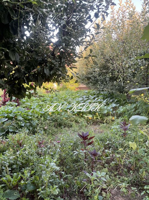 Здам будинок з гаражем  с.Ревне Біля Гора Гнідин Щасливе Вишеньки