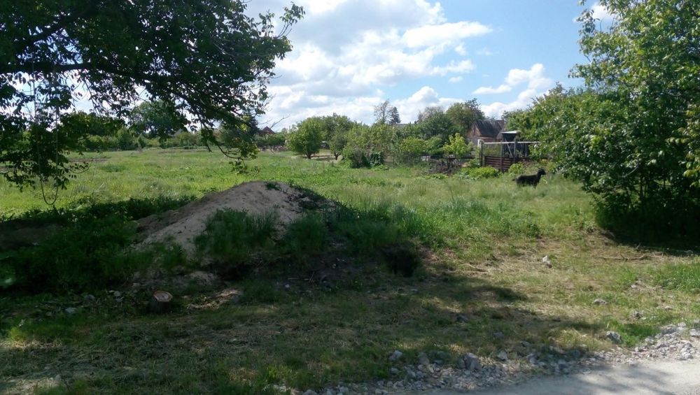 Продам землю в  поселке Сурско-Литовском