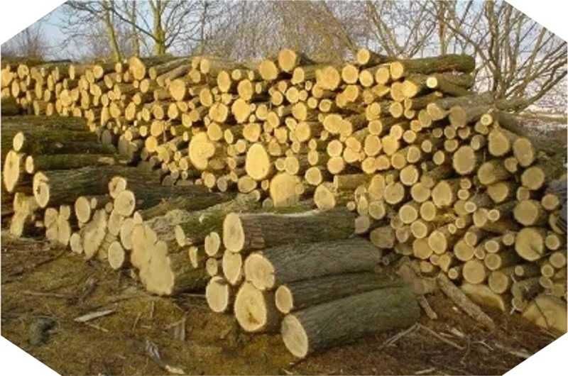 Доставка дров фурами(кругляк і рубані) по Україні