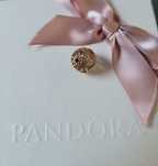 Pandora kwiat jeżówka złoty 14k 750821SPB