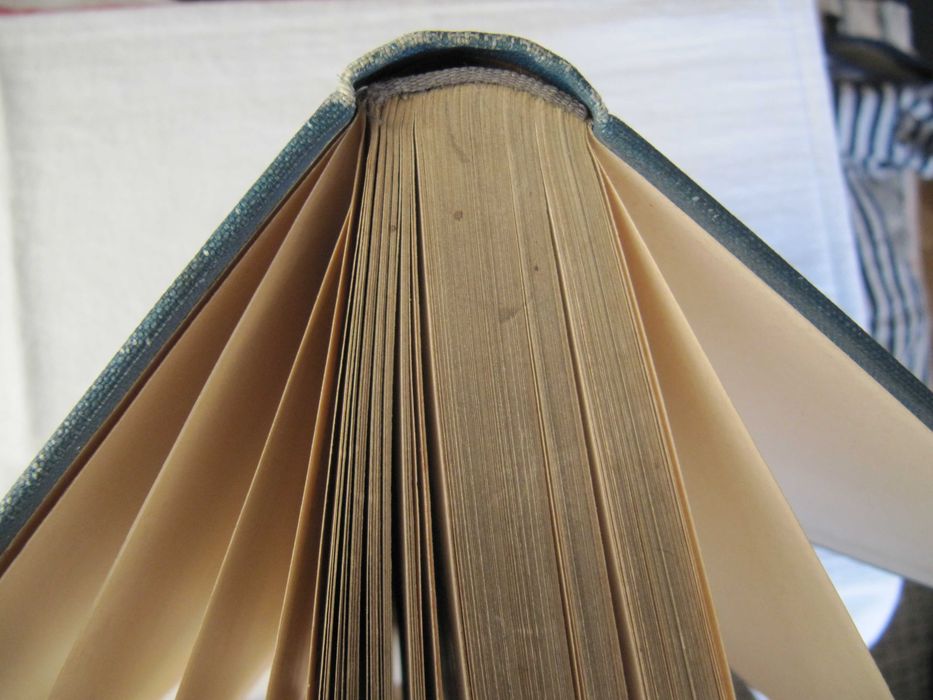 3.	GOETHES WERKE IN SECHS BÄNDEN. Dritter Band. Leipzig 1910.