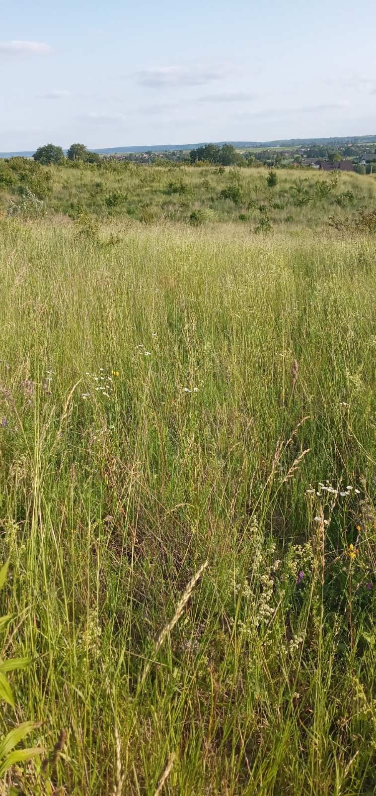 Продається ділянка під забудову в хорошому районі в селі Підберізці