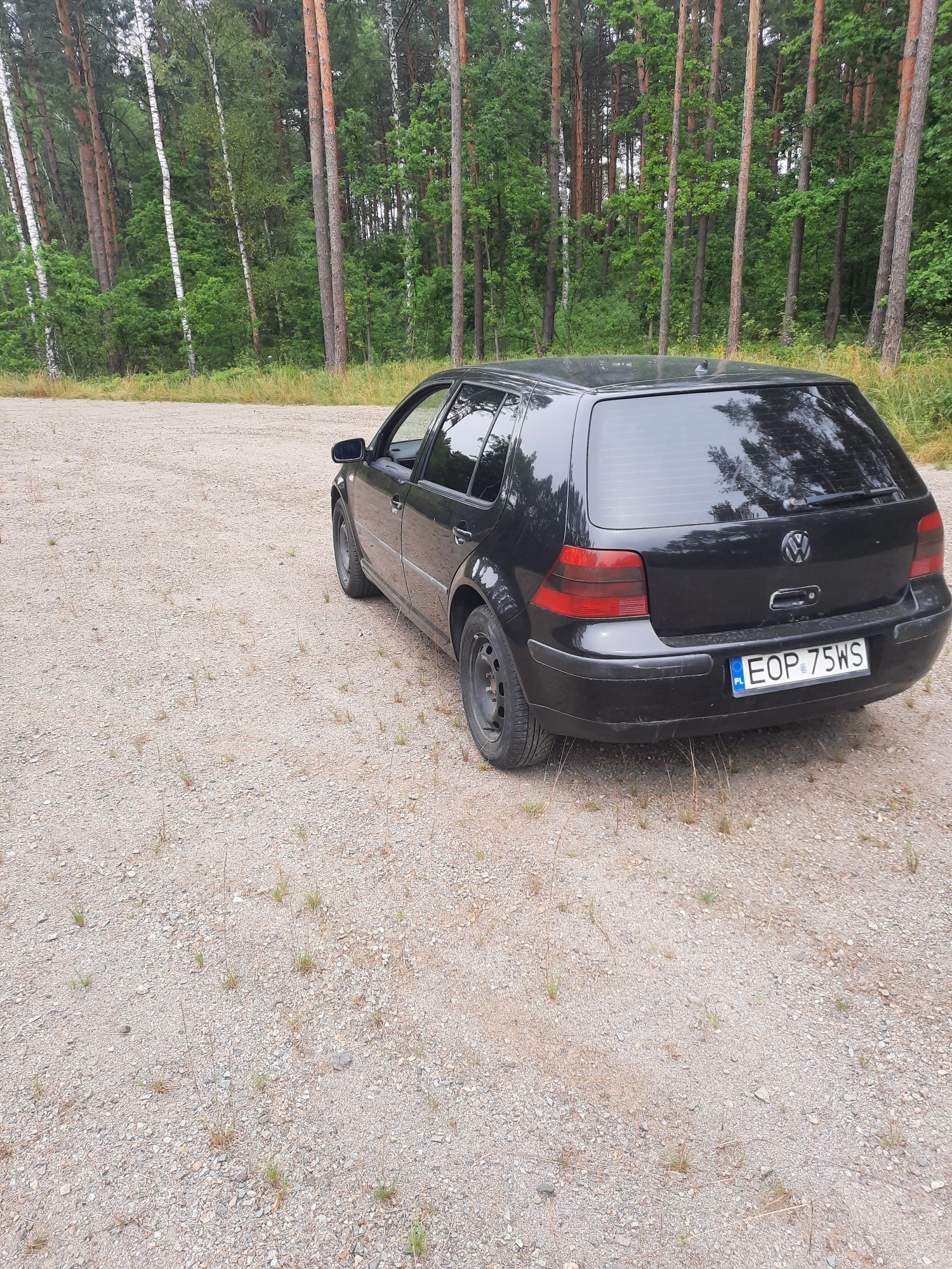 Golf 4 2001r 1.9 tdi