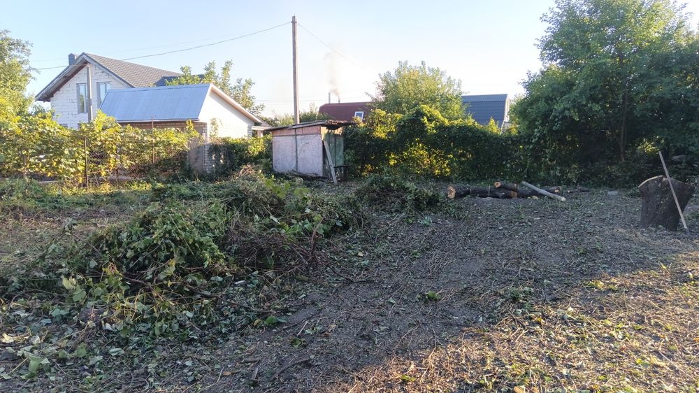 Розчистка території від Дерев трави та зелених насаджень, вивіз гілля