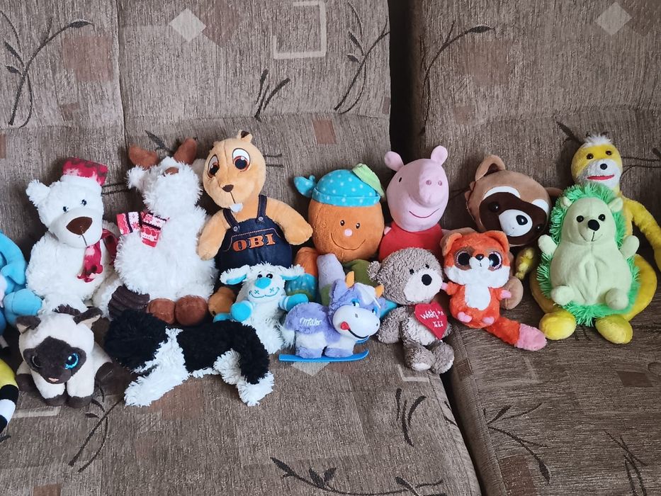 Pluszaki,gang swieżaków,i inne