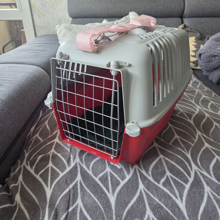 Transporter materiałowy plus zwykły