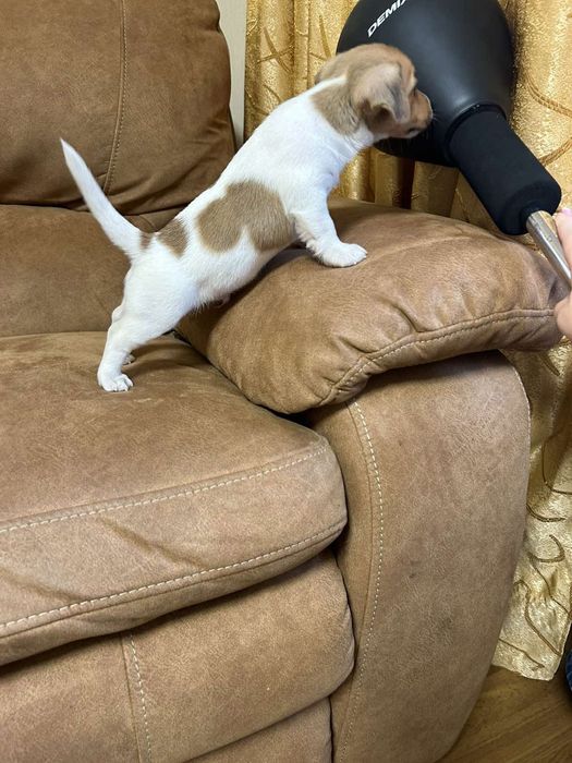 Чарівний хлопчина