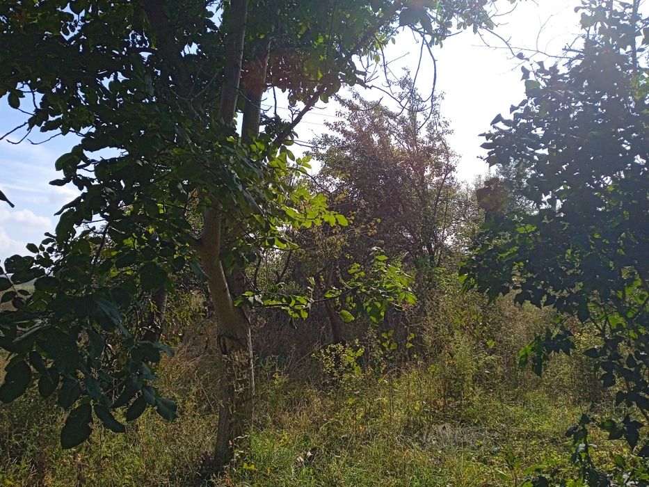 Продам участок 10 соток