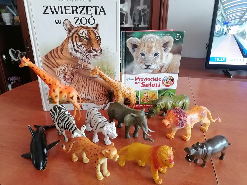Zwierzęta figurki i książki