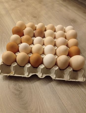 Jaja wiejskie z własnej hodowli