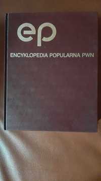 Encyklopedia Popularna PWN