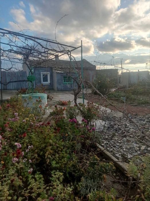 Продаю дім, Куцуруб