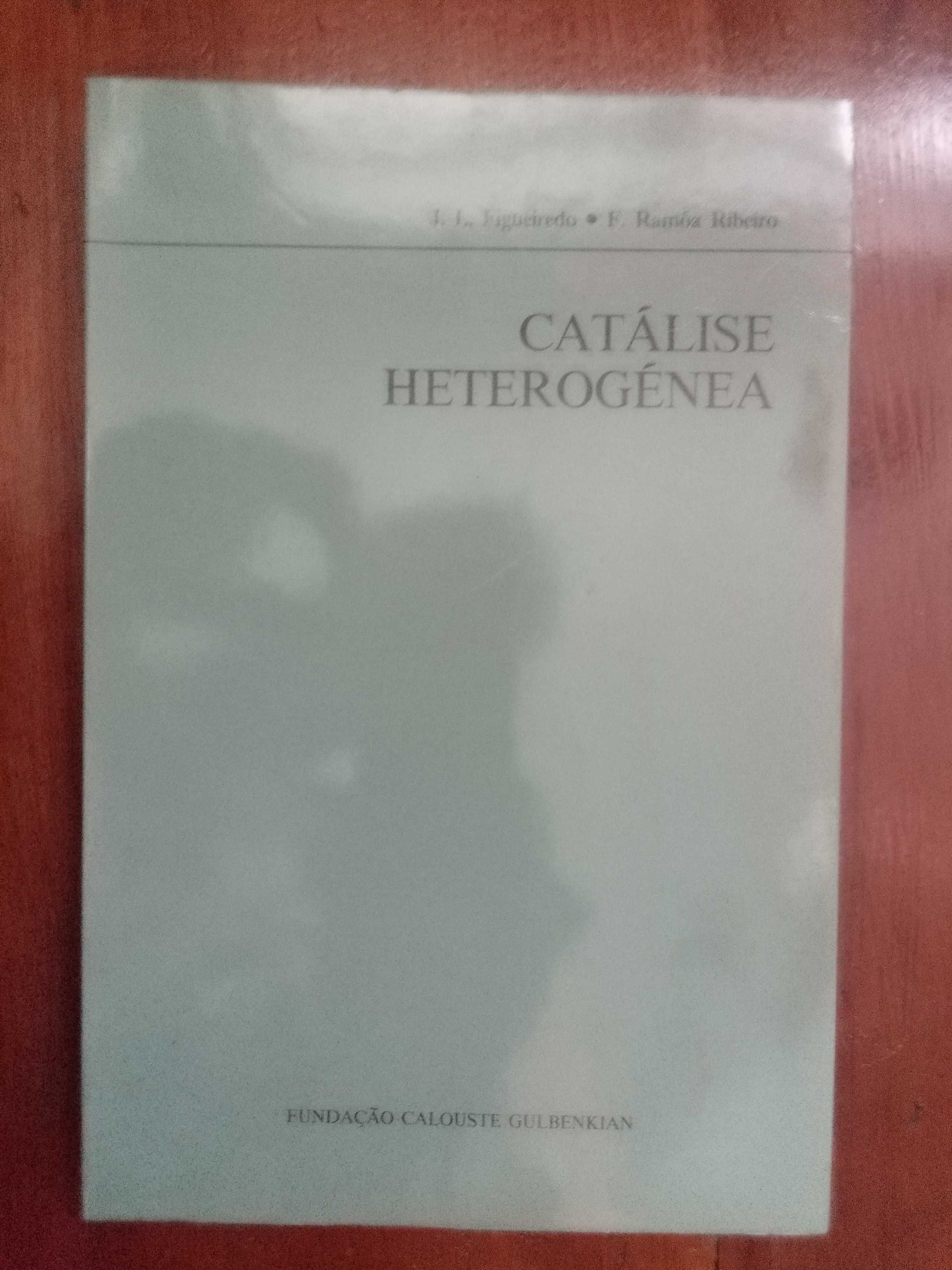 J. L. Figueiredo e F. Ramôa Ribeiro - Catálise Heterogénea