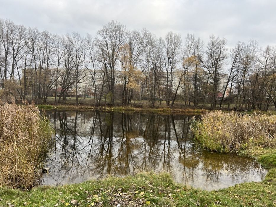 Сауна , лазня , баня ( будинок для відпочинку ) на березі річки Псел