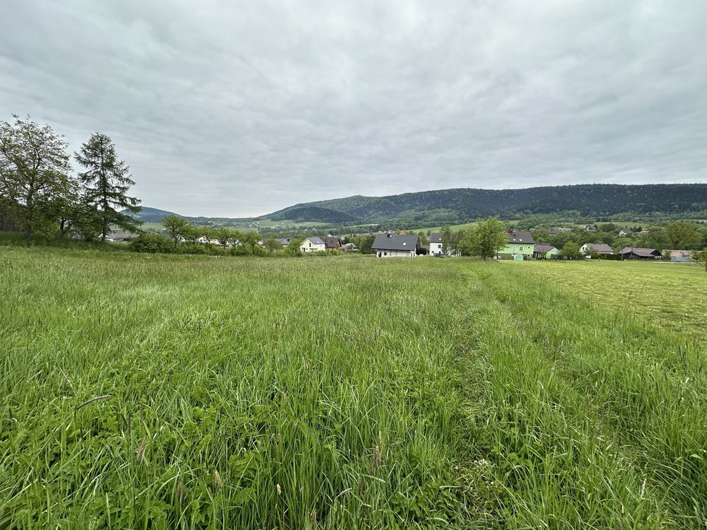 Działka budowlana 2208 m² – Ptaszkowa