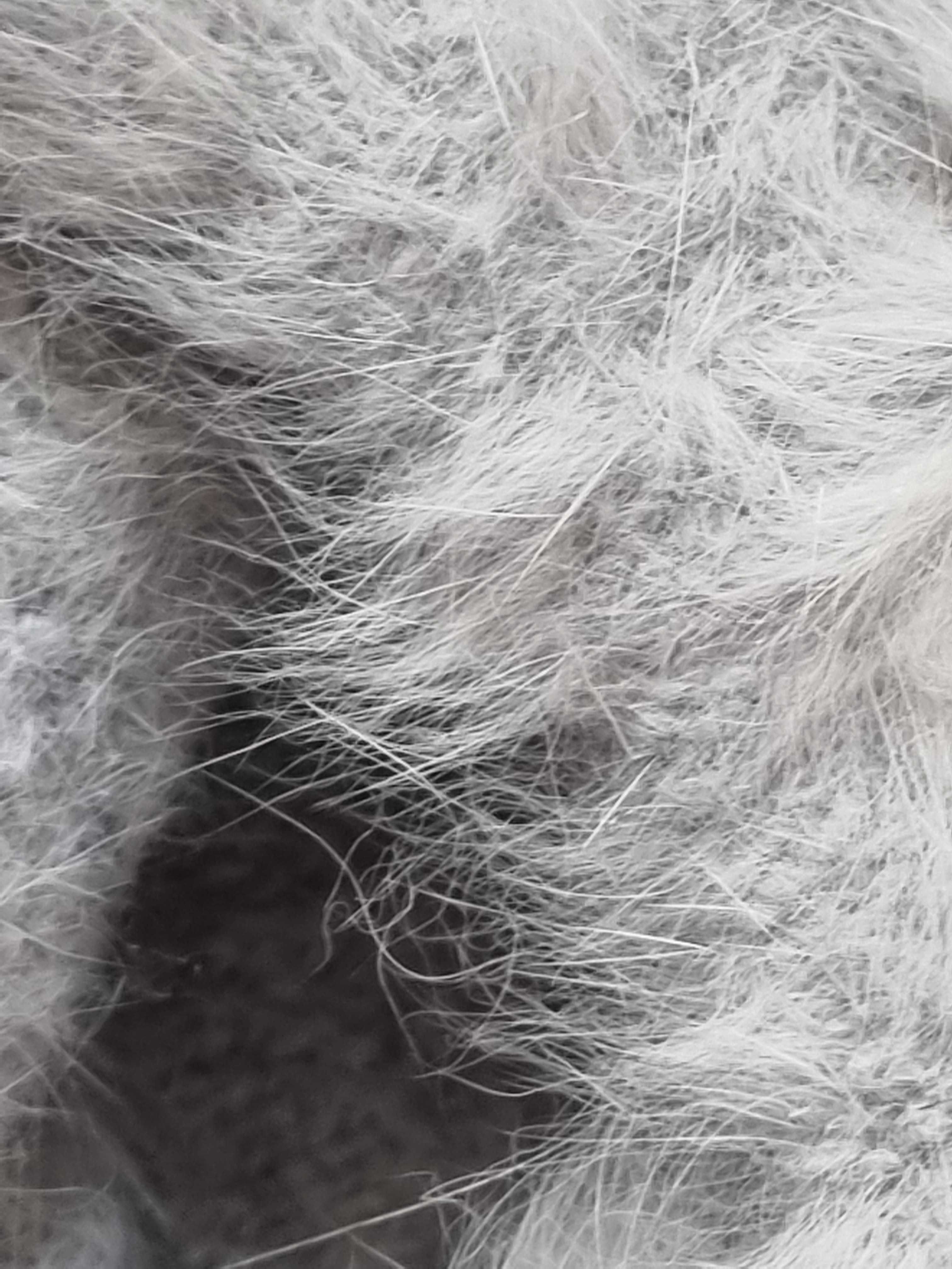 Szary beret 35% Angora