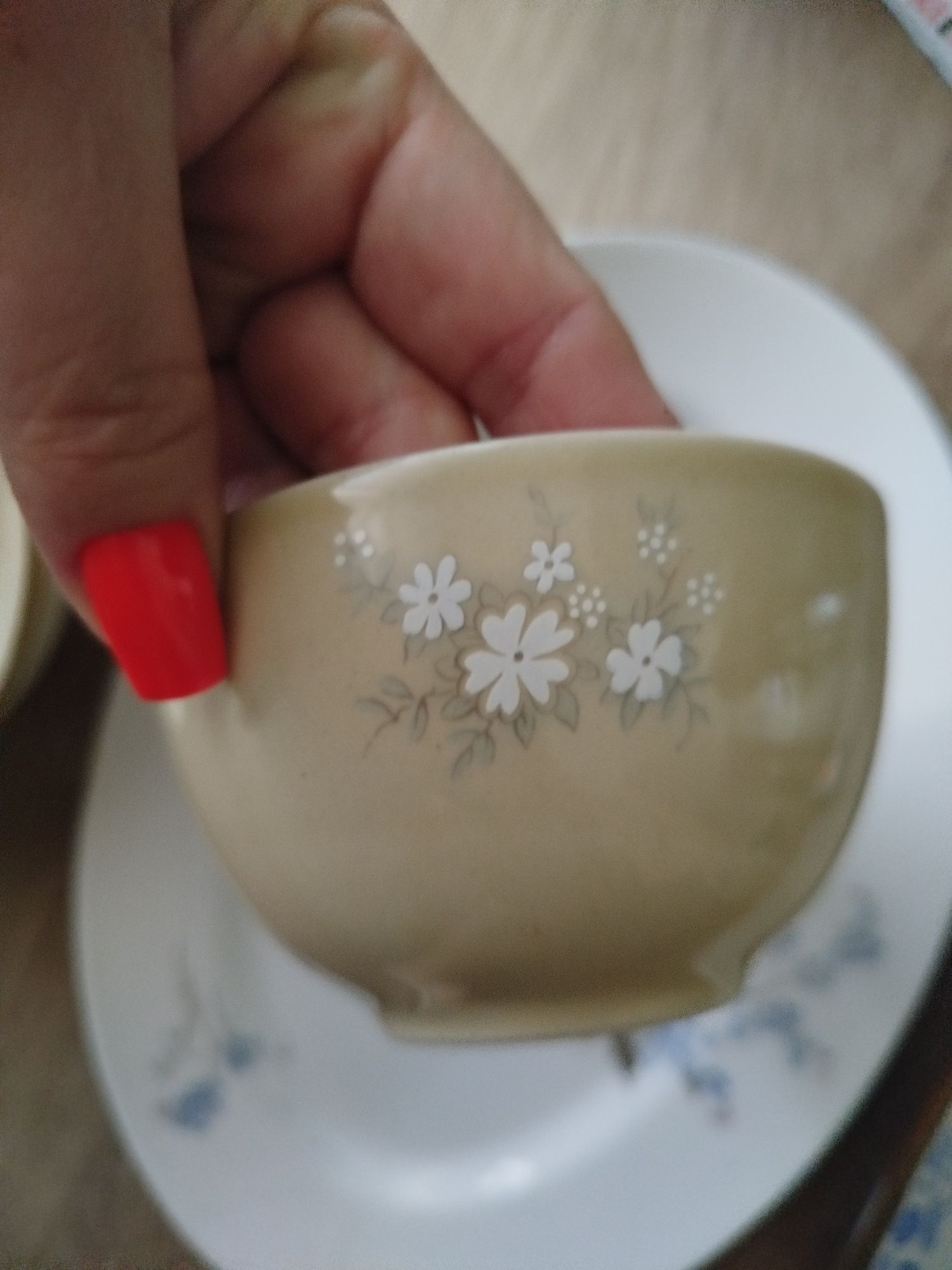 Porcelana, ceramika Włocławek, Karolina Tułowice 5szt