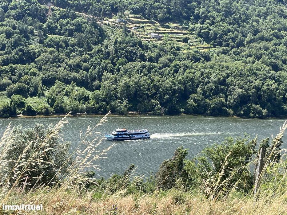 Vende-se quinta com vista paradisíaca para o Rio Douro