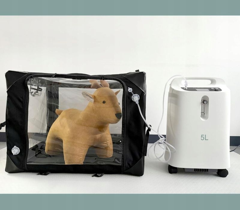 ICARE-PET Klatka Tlenowa z Matą Dla Zwierząt Zestaw Nebulizacji
