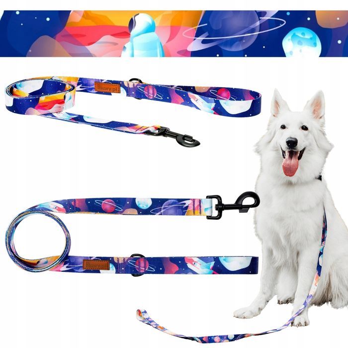 klasyczna smycz dla dużego psa powyżej 20 kg labrador collie seter