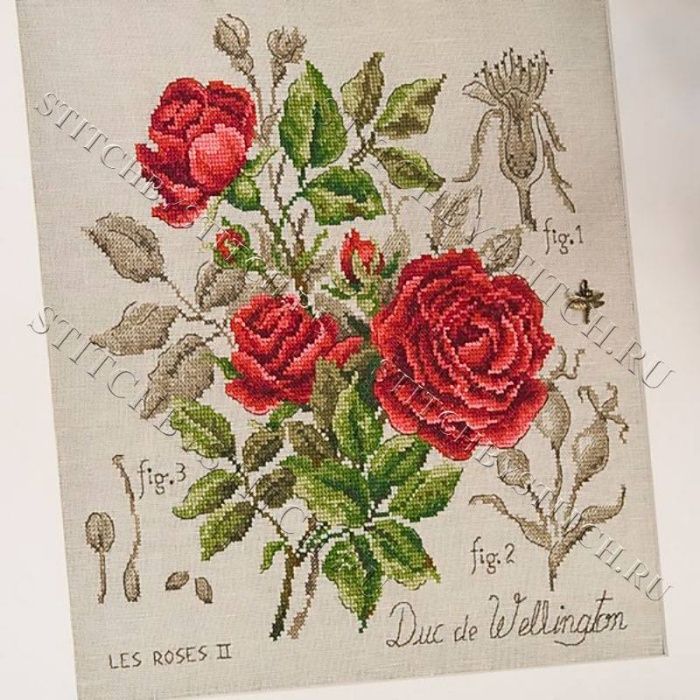 Схема для вышивания .Veronique Enginger серия Ботаника
