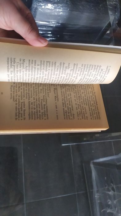 Livro jovens detectives