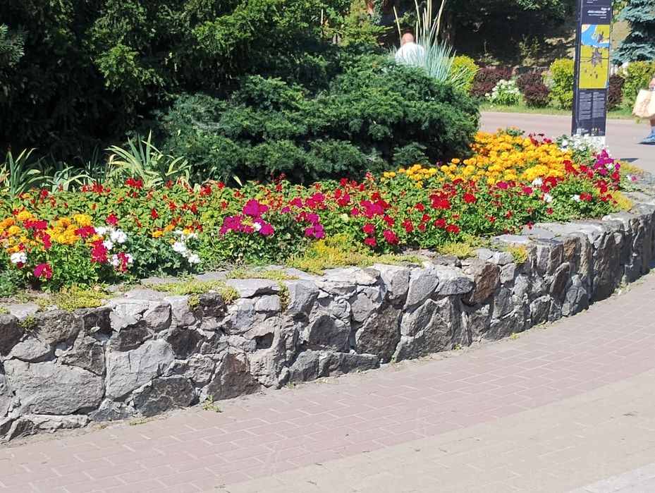 Faço serviço Jardinagem e Trolha