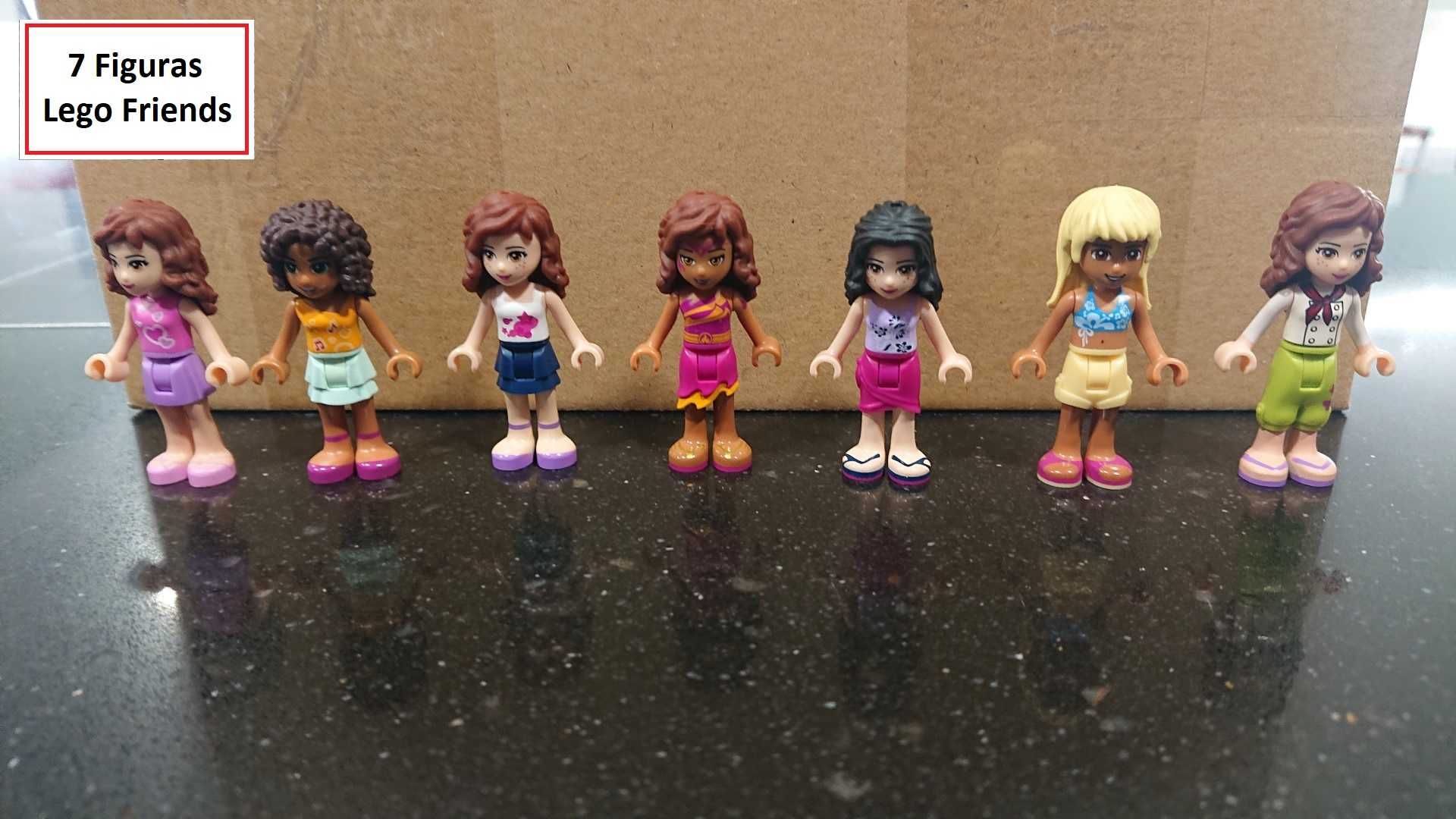 LEGO Friends: 41101 | 3315 | Lote 7 Figuras