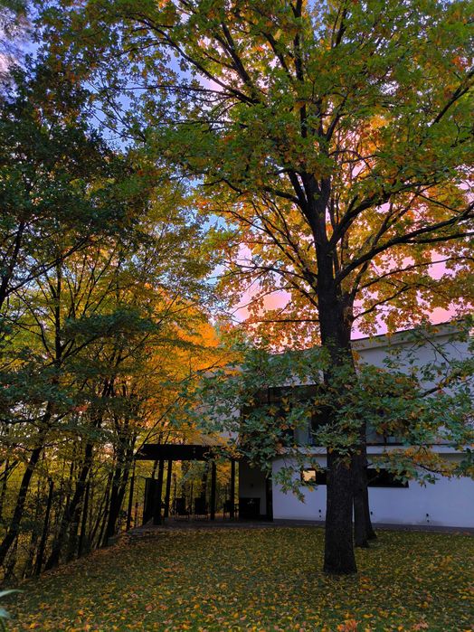 Дім, де живе гармонія, комфорт, стиль і безпека у кожному сантиметрі