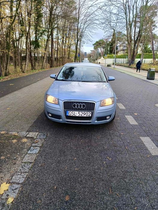 Sprzedam Audi A3 1.9 TDI • 135 KM • 2007 Duży serwis 2 komplety felg