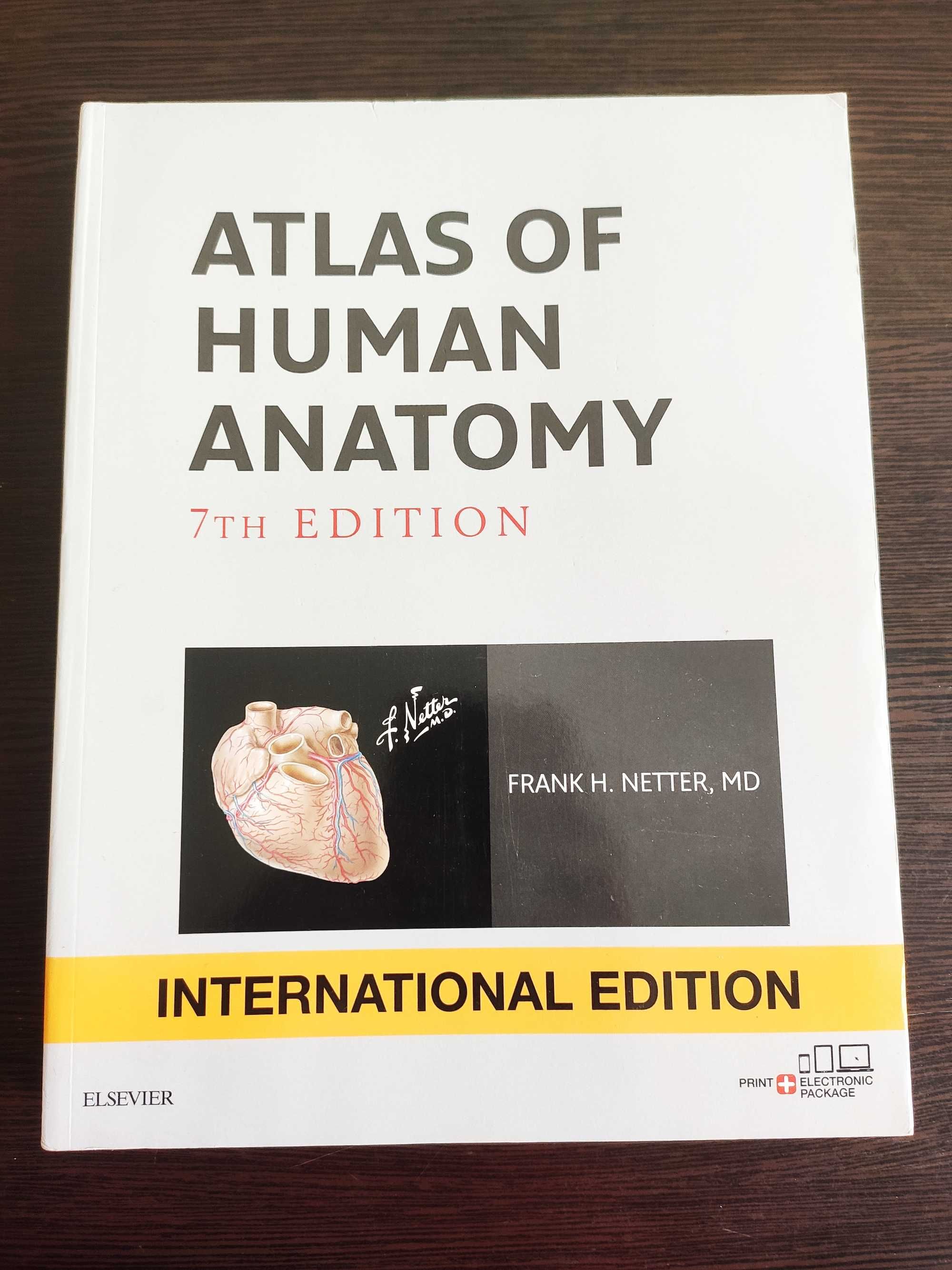 Netters Atlas 7th Edition