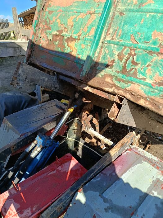 Продається Прикарпатець.