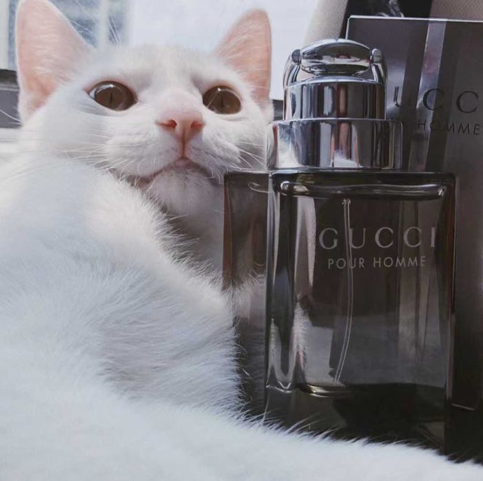 Woda toaletowa Gucci Classic Men 90ml