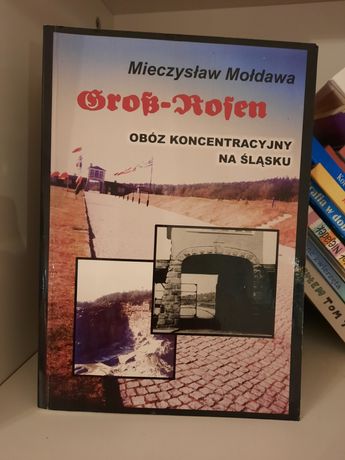 Mieczysław Mołdawa Obóz koncentracyjny na Śląsku