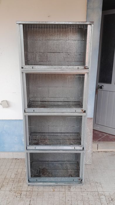 Gaiola para criação 4 divisões