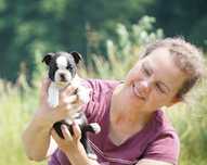 Boston Terrier ZKwP/FCI oddział Wrocław
