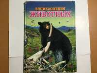 книга Стрелков Энциклопедия животных 2007