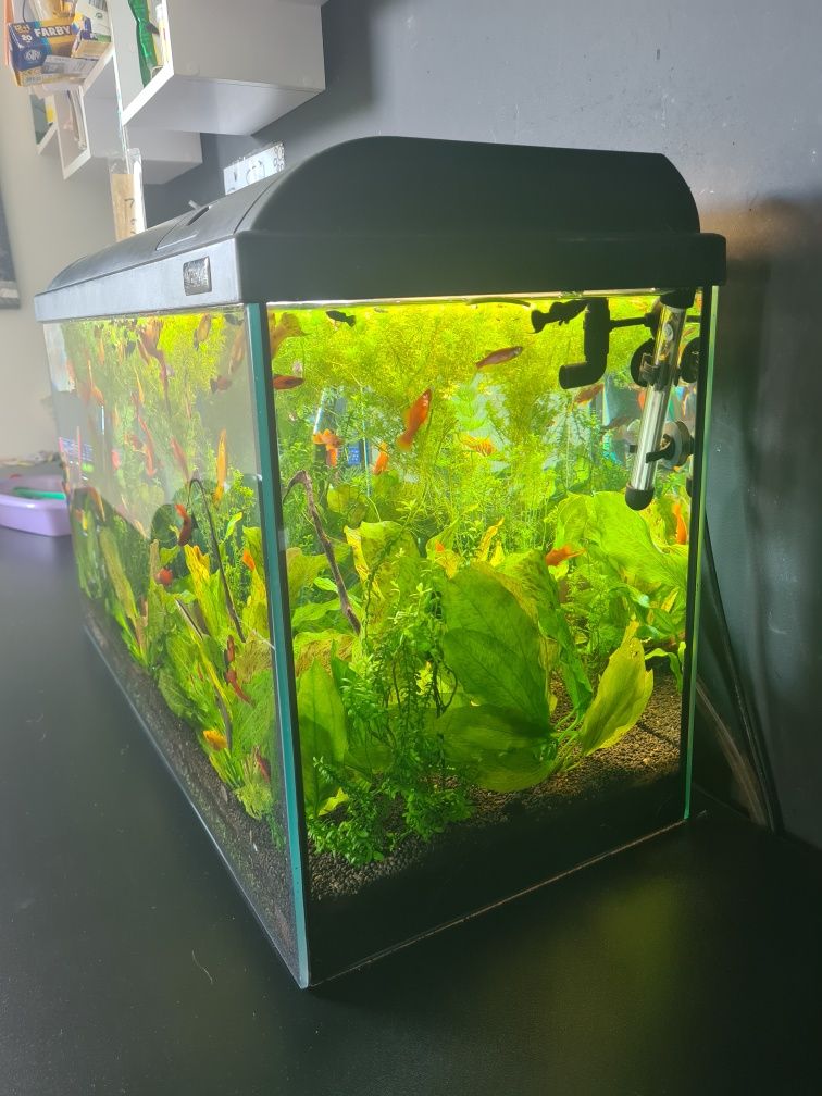 Akwarium 120l Tetra