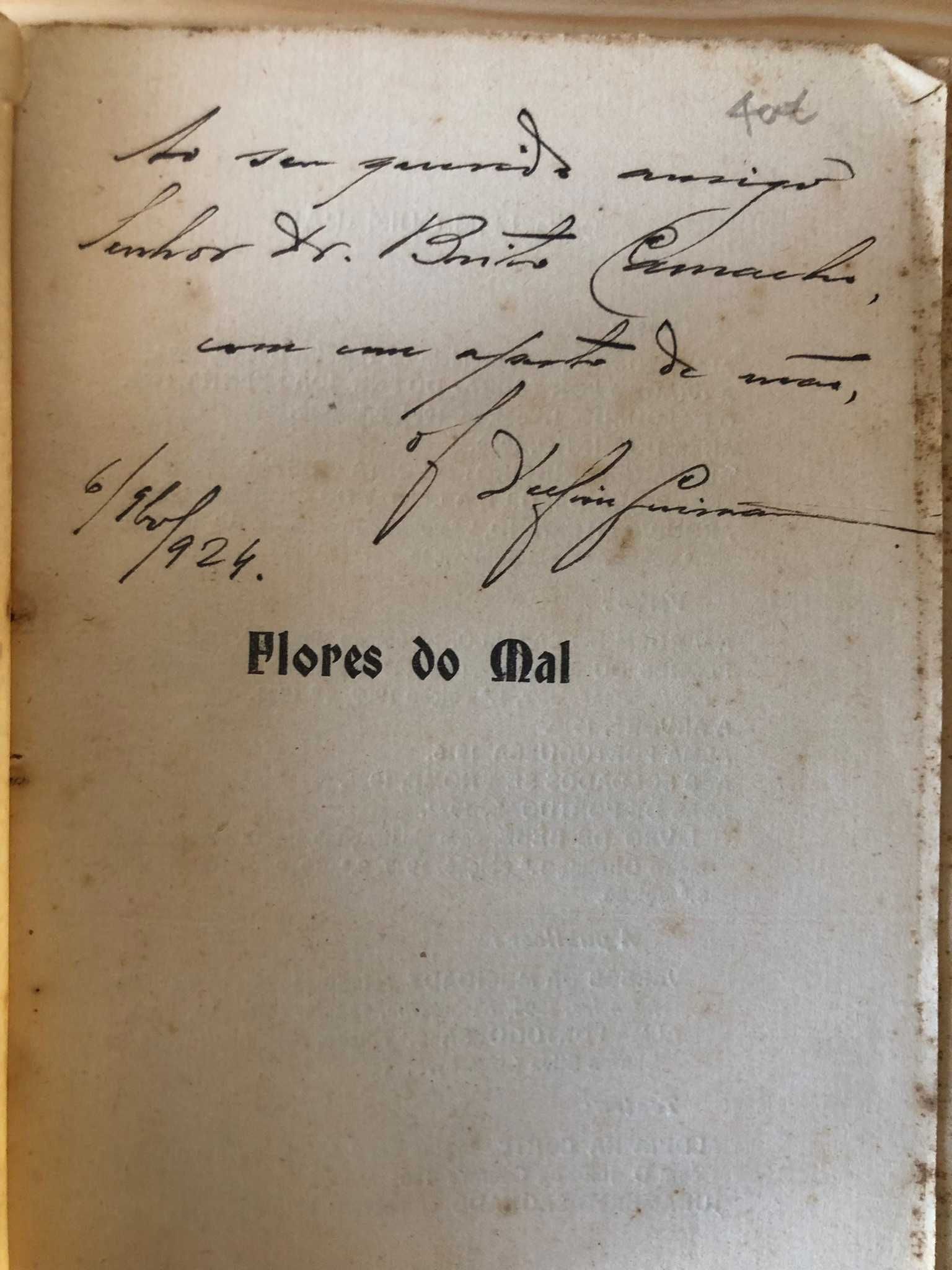 Flores do Mal (interpretação em verso de poesias de Charles Baudelaire