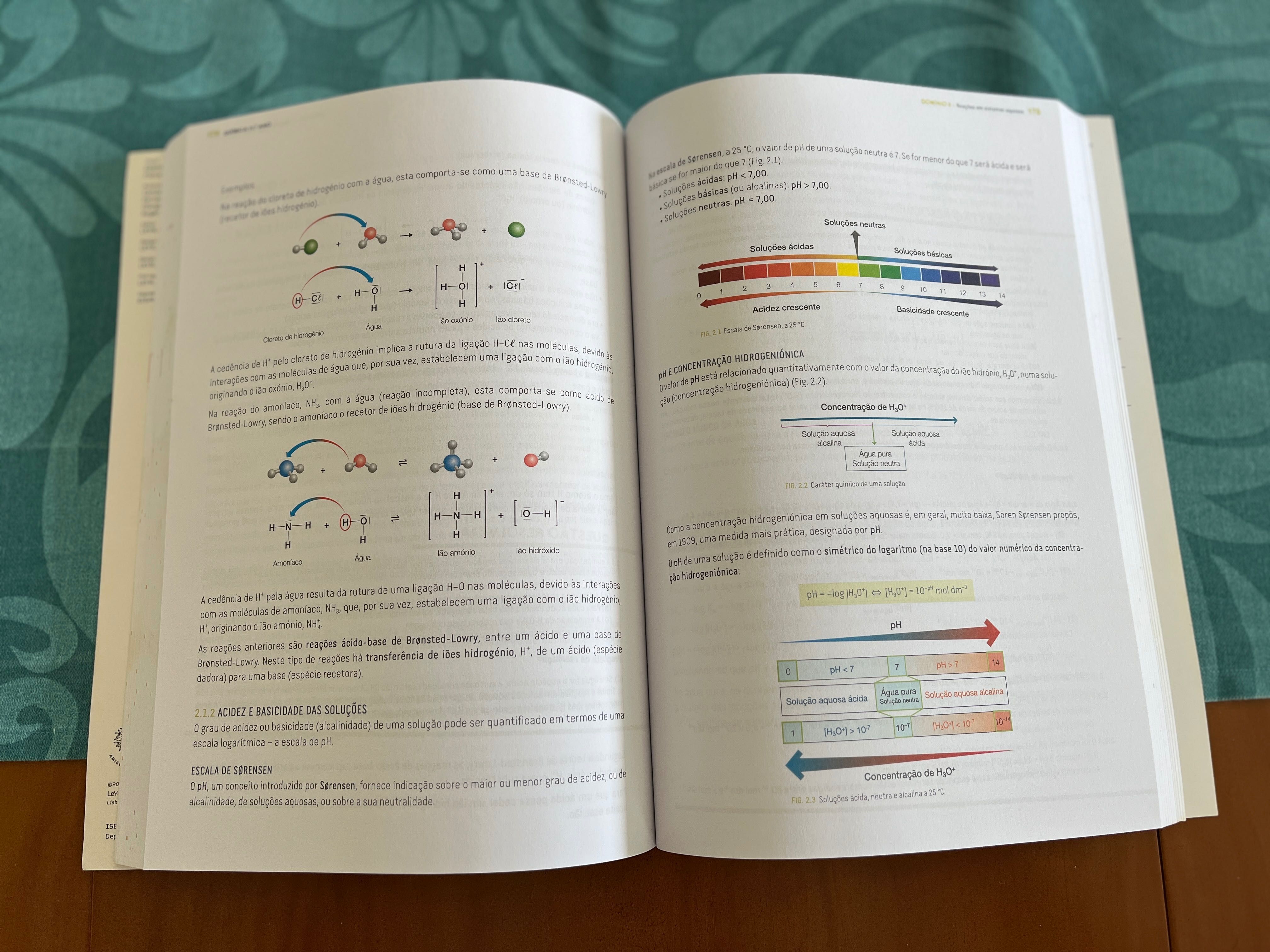 Livro de Exame Física e Química A - 11º ano