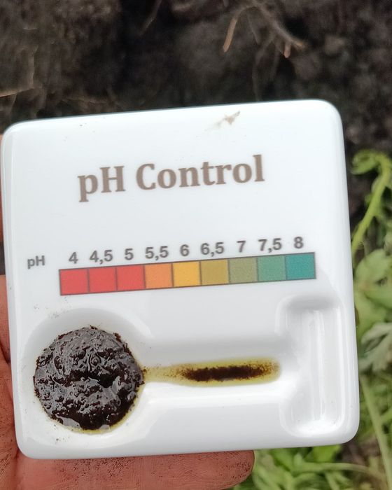 Żyzny, czysty torf ph 6.5-7 najlepszy