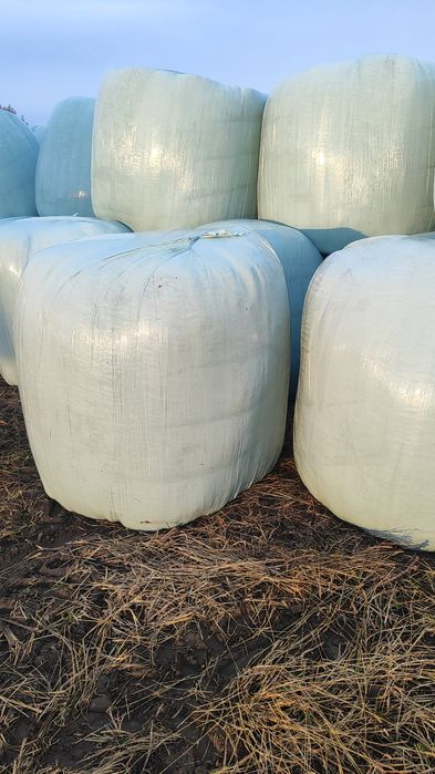 Sianokiszonka trzeci pokos