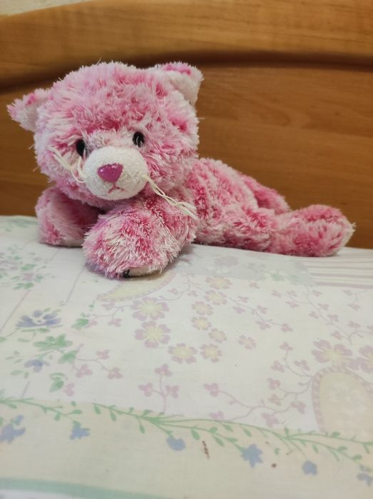 Котик з корівкою