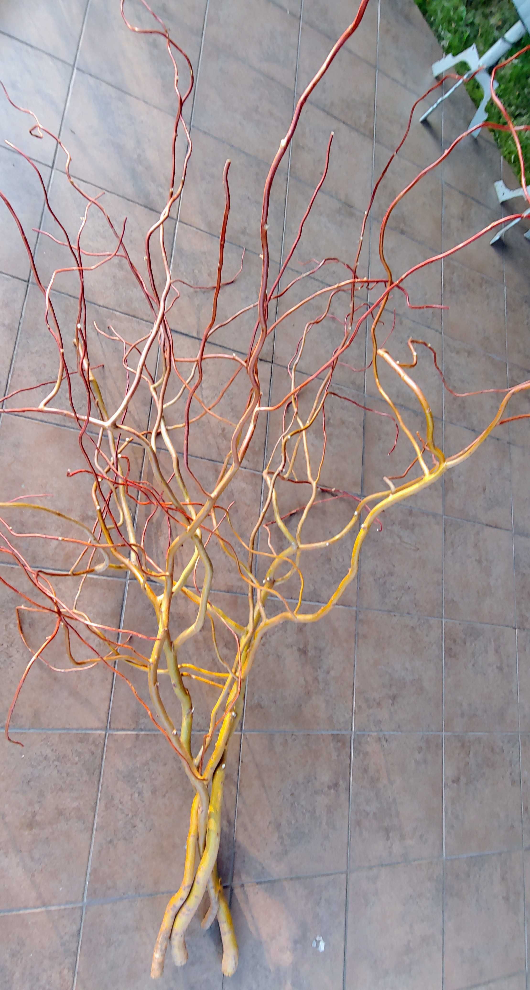 Gałęzie wierzby mandżurskiej do dekoracji - 1 komplet