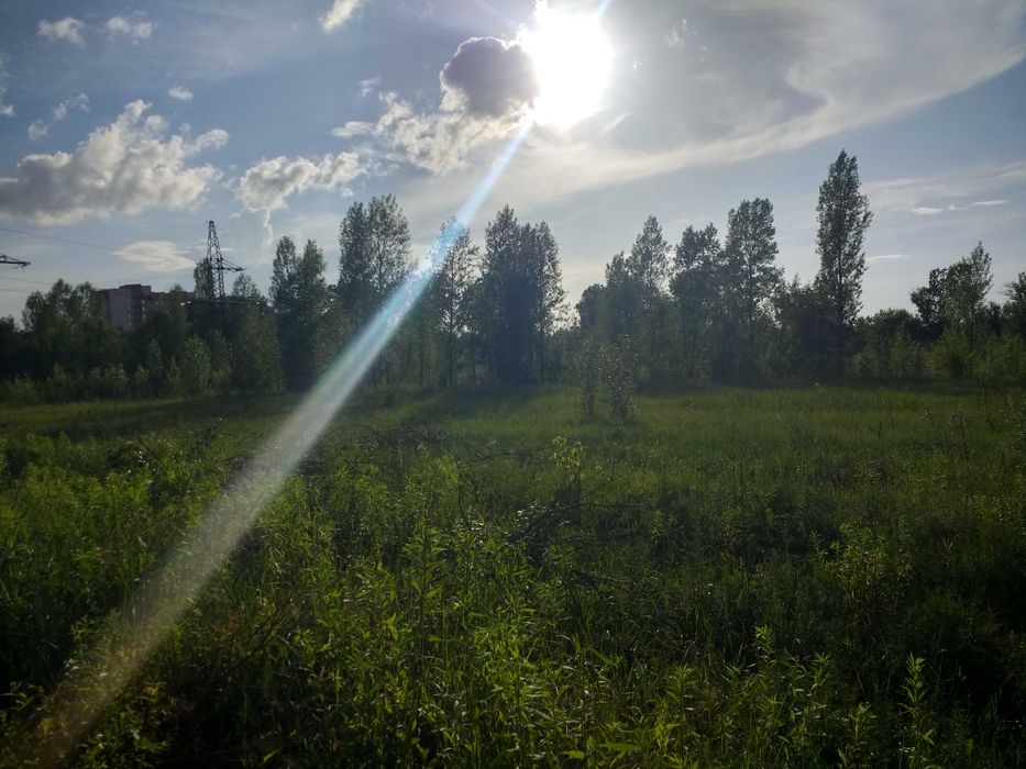 Гостомель. Фасадна ділянка біля траси. Земля під комерцію - 51 сотка.