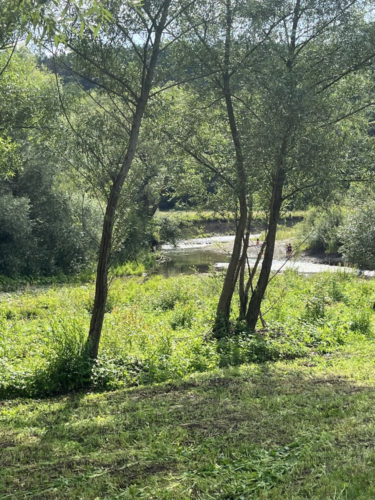 Działka  10ar bieszczady, Blisko Arlamow, rzeka wiar  .