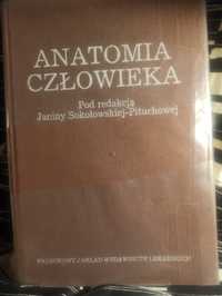 Anatomia człowieka Janina Sokołowska Pituchowa