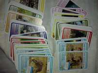 Cartas animais pingo doce