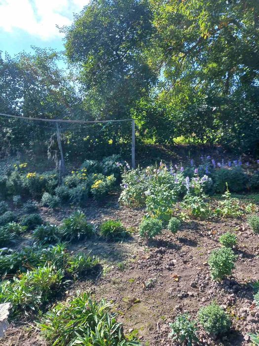 Ділянка  з хатою