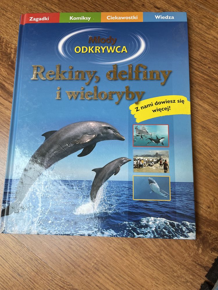 Rekiny delfiny i wieloryby polski MŁODY ODKRYWCA